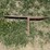 anvil-image-1