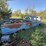 1966-ford-f100-image-4