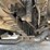 1995-mack-dm690s-image-42