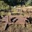 #2759-•-misc.-steel-post-and-rolling-dolly-image-2
