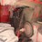 massey-ferguson-300-image-5