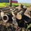 pile-of-wood,-mostly-ash,-has-been-down-approx-10-years,-ready-to-cut-and-burn-image-9