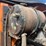 #2688-•-1998-navistar-2674-6x4-day-cab-truck-tractor-image-56