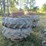 #29206-•-lot-of-(4)-18.4-38-tractor-tires-image-1