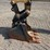 2014-caterpillar-303.5e-cr-image-9