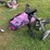 golf-bag-and-golf-bag-caddy-image-3