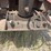#1315-•-2002-dierzen-dominator-end-dump-semi-trailer-image-27