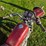1980-suzuki-tscc-motorcycle,-shows-6,665-miles,-non-running,-history-is-unknown-*no-title-image-15