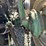 #5217-•-oliver-tractor-w/-loader-image-38