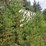#2591-•-approx.-45'-van-trailer-image-3