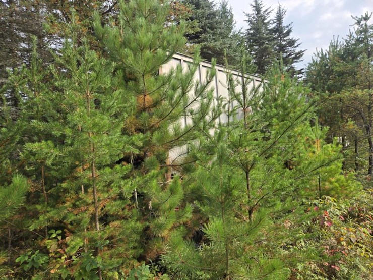 #2591-•-approx.-45'-van-trailer-image-3