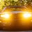 #2284-•-2002-pontiac-firebird-trans-am-convertible-image-10