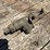 3/4"-penberthy-injector-image-4
