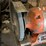 #114-•-central-machinery-8”-bench-grinder-image-4