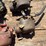 carburetor-assortment-image-5