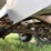 willmar-500-image-21