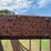 livestock-large-round-bale-feeder-image-6