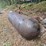 #2597-•-500-gallon-underground-lp-tank-image-3