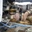 2007-kenworth-w900-image-13