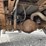 dodge-3500-image-29