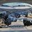 2012-ford-f150-xlt-image-9