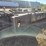 #2781-•-approx-3’x18’-auger-image-5