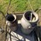 old-cream-can-cart-with-2-cream-cans-image-6