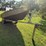 mirro-craft-boat,-motor-and-trailer,-65hp-evinrude-engine,-aluminum-boat,-has-been-stored-for-approx-image-9