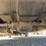 1997-ford-f350-xlt-image-24
