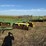john-deere-360-image-3