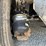1995-mack-dm690s-image-27