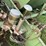 john-deere-494a-4r38”-planter,-markers,-fert-boxes,-autolube-greaser,-works,-*must-be-removed-in-10-image-12