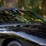 #2284-•-2002-pontiac-firebird-trans-am-convertible-image-29