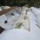 #2846-•-500-gallon-lp-tank-image-4