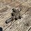 no.-2-us-injector-image-6