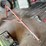 ford-8n-image-1