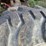 #2912-•-kubota-tl500-backhoe-tractor-image-66