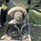 john-deere-no.-11-sickle-mower,-9’-bar,-with-cylinder,-*needs-a-new-pitman*,-rivet-sections.-this-it-image-8