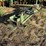 john-deere-360-image-28