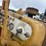 caterpillar-d4d-image-12
