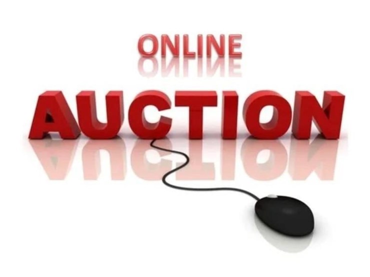 next-auction-is-oct-28,-6pm-image-1