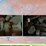 #121-•-rack-and-assorted-contents-image-8