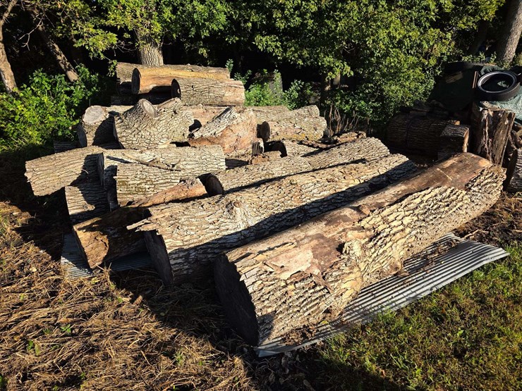 pile-of-wood,-mostly-ash,-has-been-down-approx-10-years,-ready-to-cut-and-burn-image-1