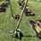 case-water-pump-image-2