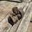 case-10-20-crossmotor-carburetor-image-4