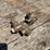 3/4"-penberthy-injector-image-2