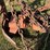 new-idea-251-image-10