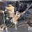 2004-sterling-day-cab-truck-(gp11427,-unit-31350)-image-51