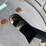 #2110-•-holland-fw35-image-5