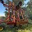bourgault-8810-image-6